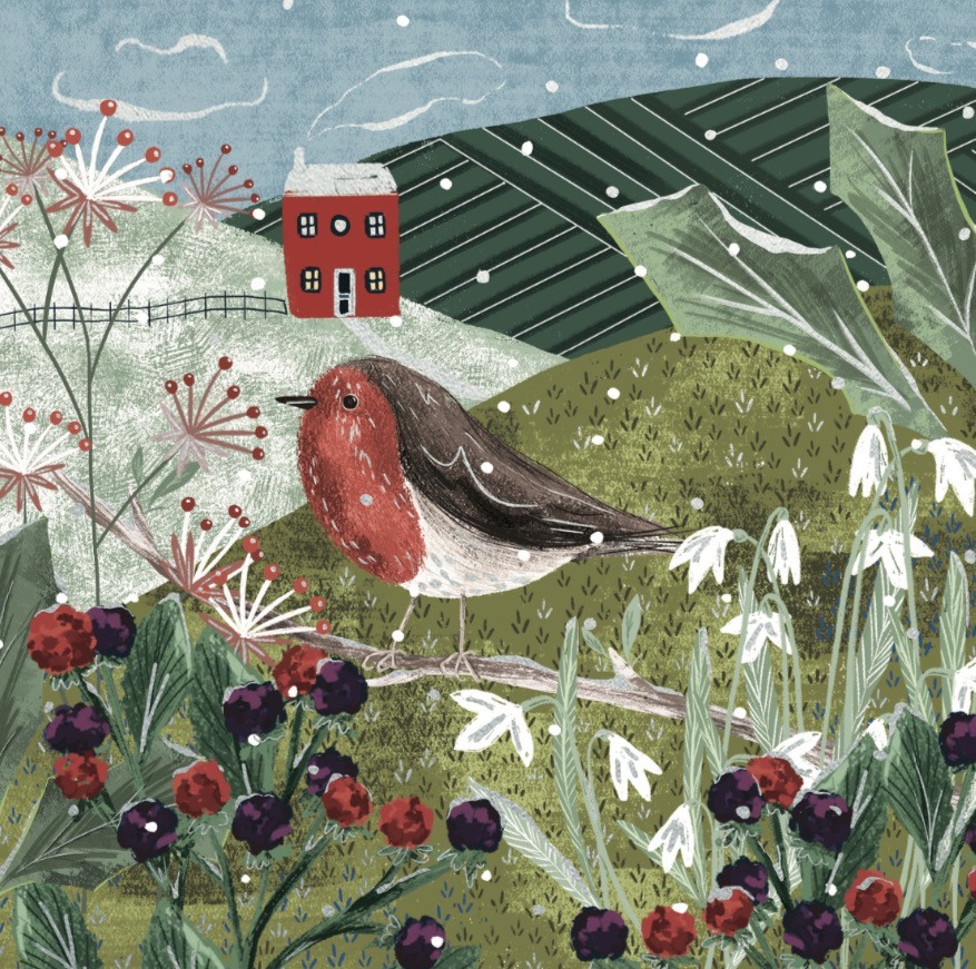 Robin in a Meadow